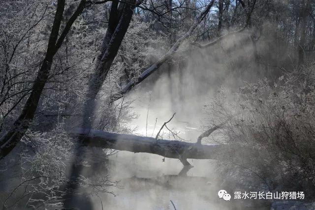 《狂飙》杨健娶孟钰，是爱她的人，还是爱她父亲手里的权利呢？
