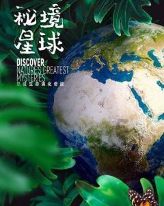 世界杯卡通足球大赛2