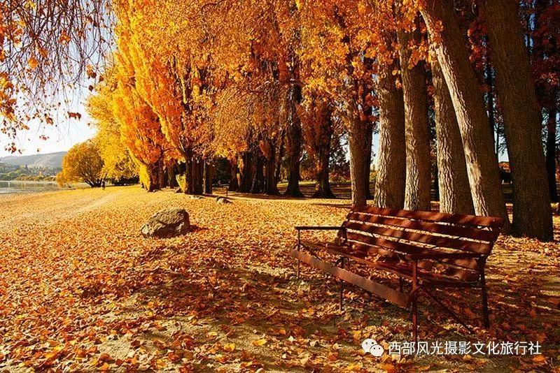 美图秀秀下载2023最新版