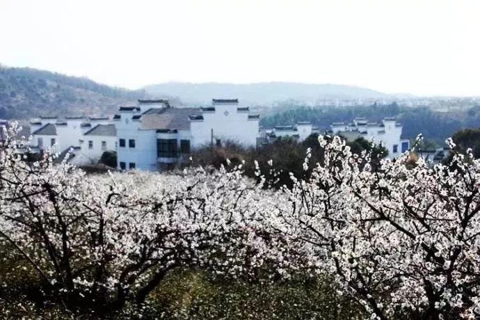 拯救精灵的土地9
