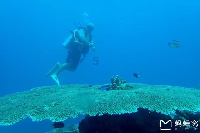 春节买车回家过年 启源A07对比海豹DM-i 18万级主流家轿该选谁？