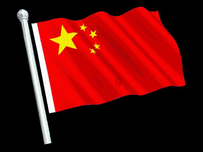 饥饿的哈利