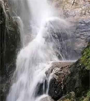 奥日与精灵意志